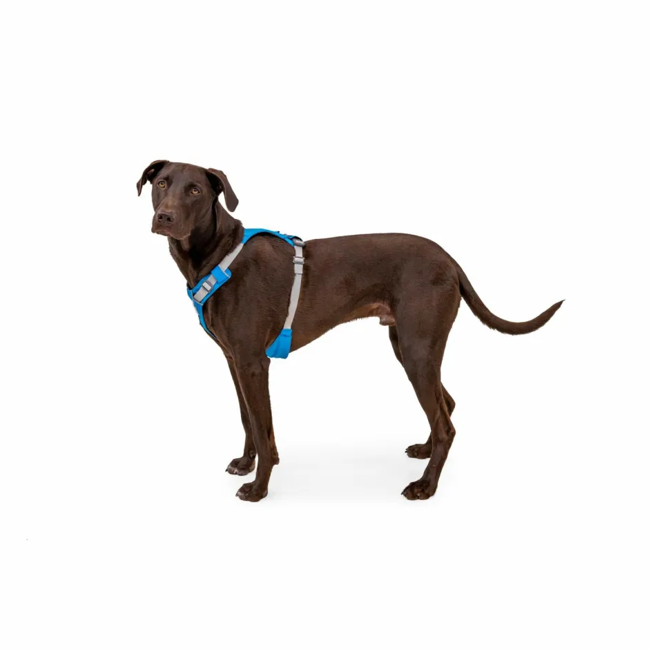Ruffwear Hundegeschirr-- Hi & Light Harness - Hundegeschirr