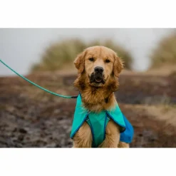 Ruffwear Hundemäntel-- Sun Shower Jacket - Hundemantel Midnight Blue