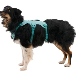 - Web ater Harne - Hundegechirr < Ruffwear Hot
