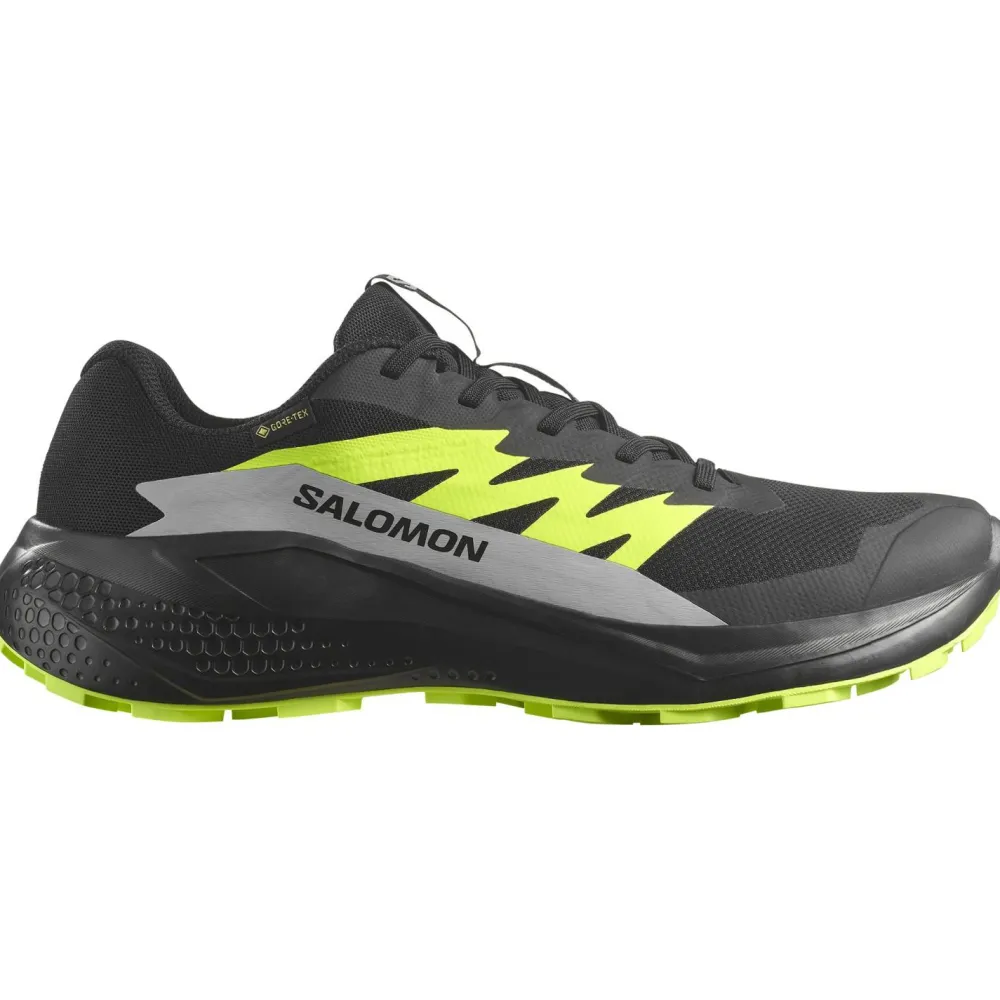 Salomon - Alphaglide GORE-TEX - Trailrunningschuhe Outlet