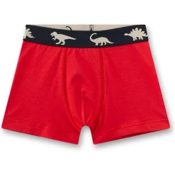 - Kid's Set Shorts 337333 5-Pack - Unterhose < Sanetta Best