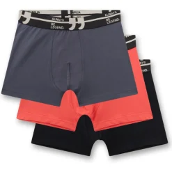Sanetta Alltagsbekleidung|Unterwäsche-- Kid's Set Shorts 349396 3-Pack - Unterhose Grisaille