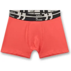 Sanetta Alltagsbekleidung|Unterwäsche-- Kid's Set Shorts 349396 3-Pack - Unterhose Grisaille