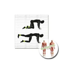 Schildkröt Fitness - Gewichtsmanschette < Schildkru00f6t Fitness Online