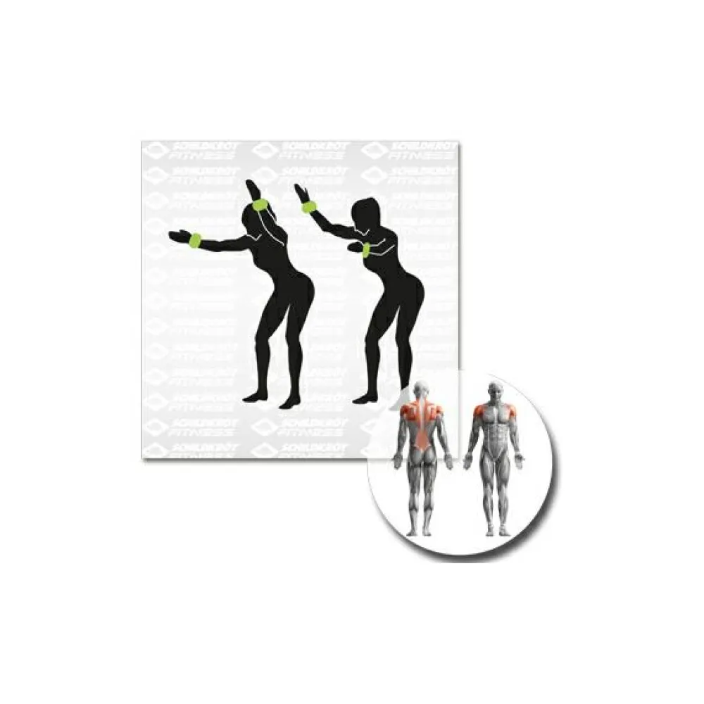 Schildkröt Fitness - Gewichtsmanschette < Schildkru00f6t Fitness Online