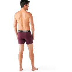 - Everyday erino Boxer Brief Boxed - erinounterwäche < Smartwool Hot