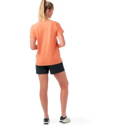 - Woen' Perfect Crew Tee - erinohirt < Smartwool New