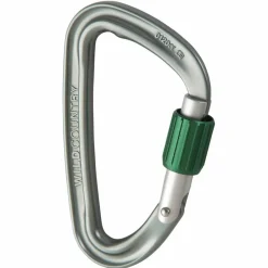 Wild Country Karabiner & Express-Sets-- Eos - Schraubkarabiner Gun Metal / Green