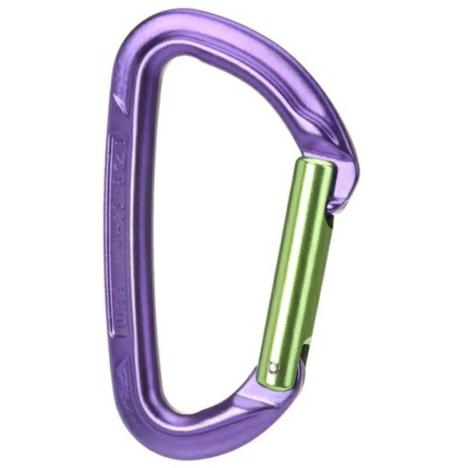 Wild Country - Session Straight Gate - Schnappkarabiner